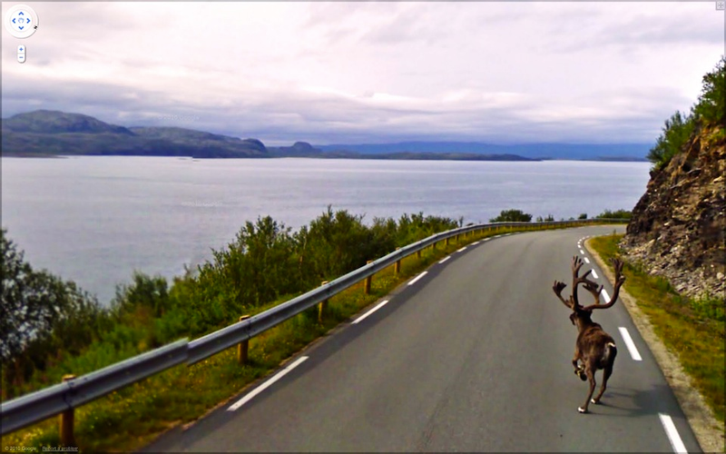 Illustration for article titled The Funniest Pictures Found on Google Street View